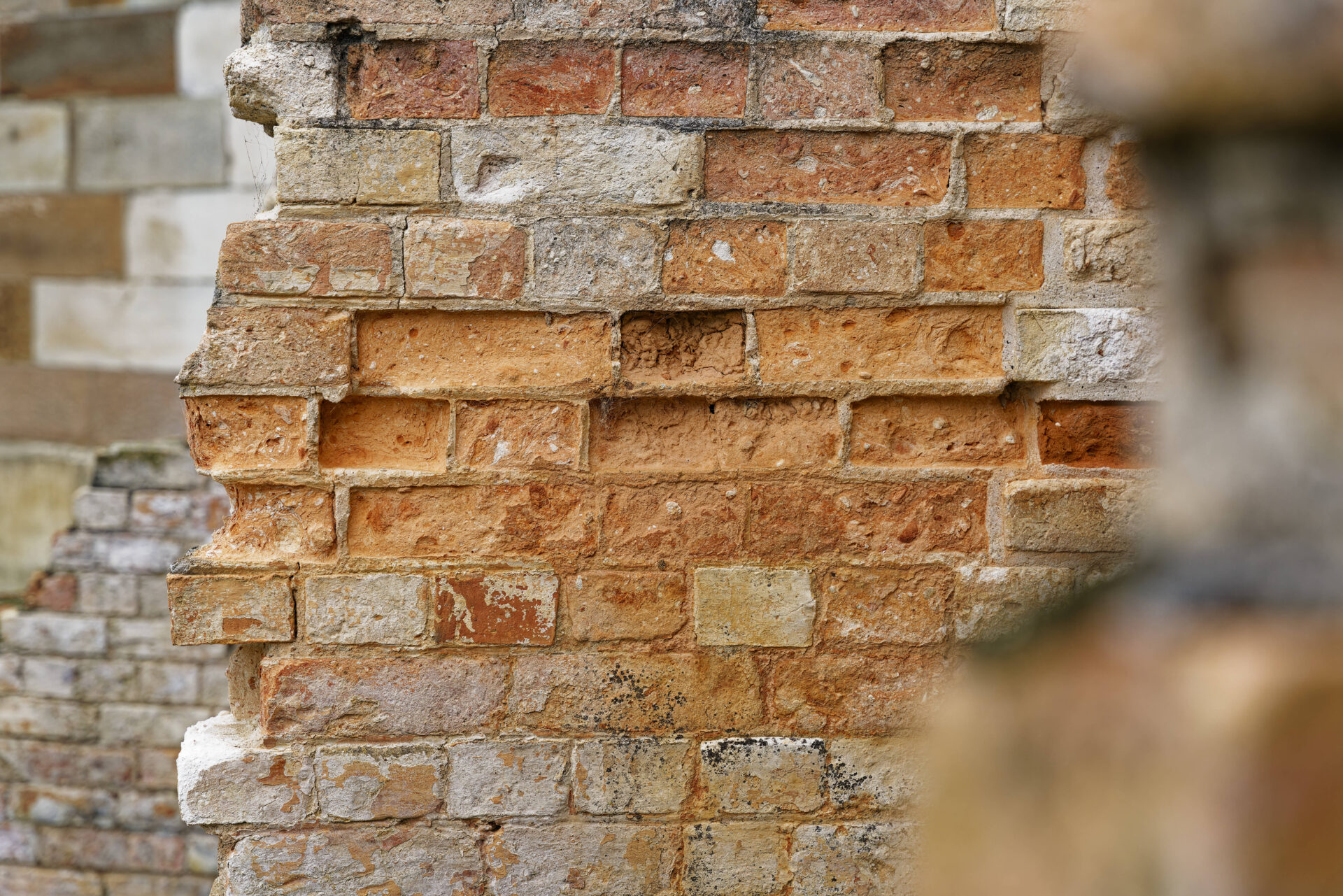 The Asbestos home builder: Learning from the Mistakes – Strategies for Improvement